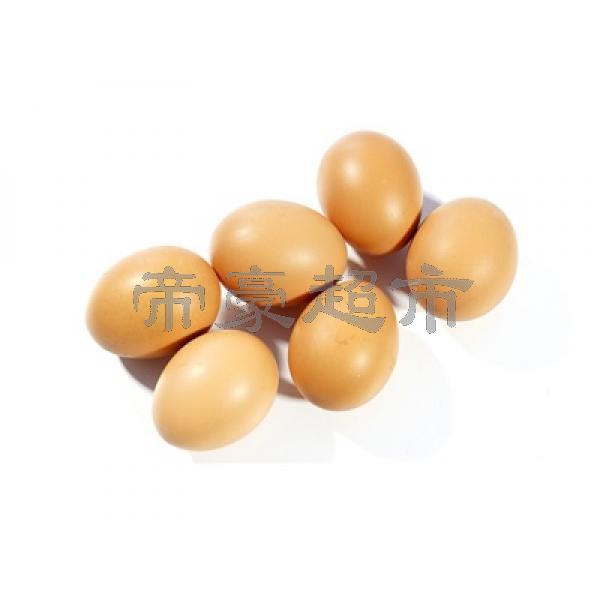 Egg - 6 packs