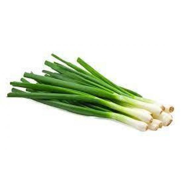 spring onion 1bag