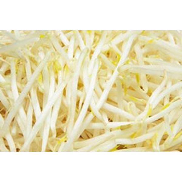 Beansprout one bag 4kg