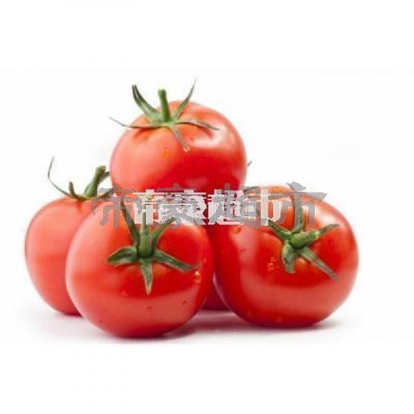 番茄/西红柿 - -
