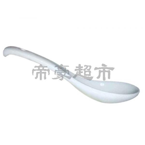 Ceramic Spoon