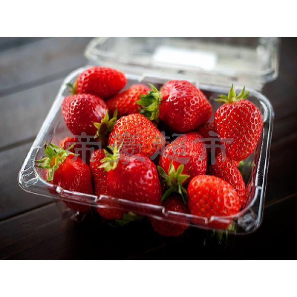 新鲜草莓（一盒）