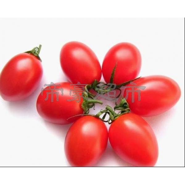 Cherry Tomatoes 