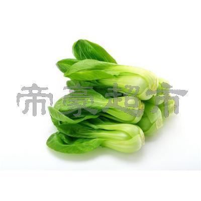 新鲜上海白菜（青白菜）2KG 家庭装