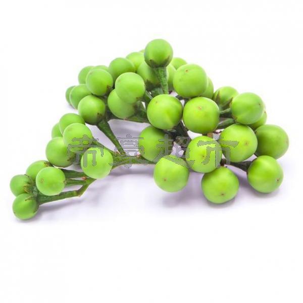 Thai Import Egg Plant 100g