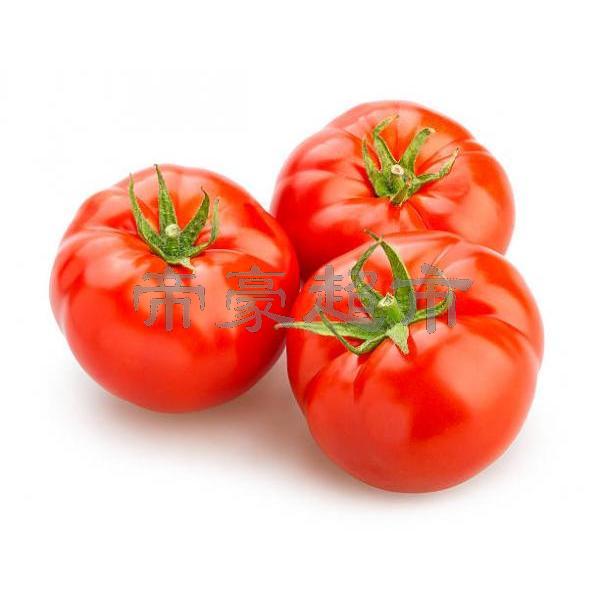 新鲜有机大西红柿三个