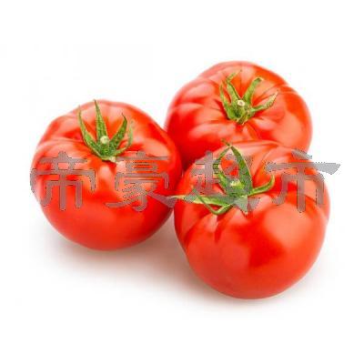 新鲜 西红柿 4只