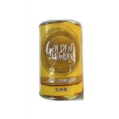 Golden Wonder 玉...