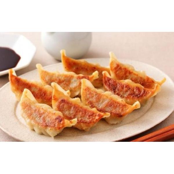 Vegetable Fried Dumplings 