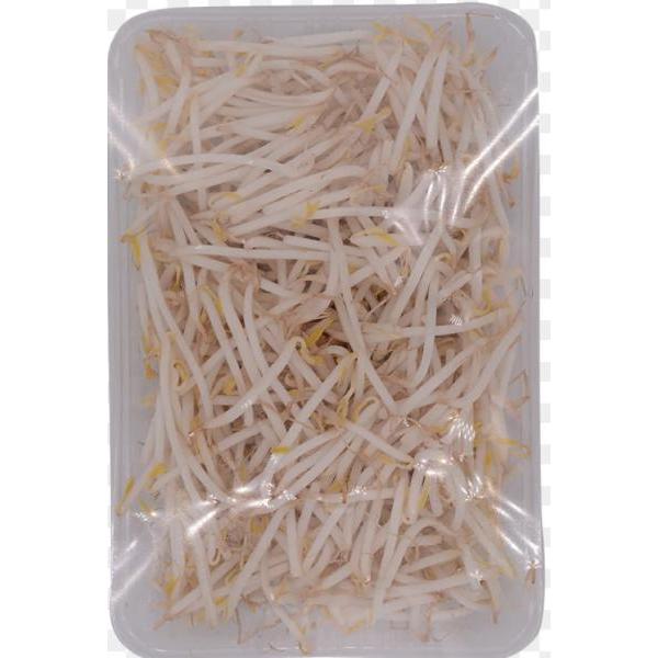 Beansprout one bag 4kg