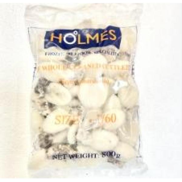 Holmes Whole Baby cuttlefish 40/60  800g