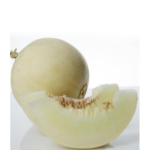 Sweet melon 