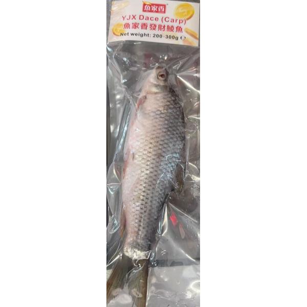 YJX Dace 200-300g