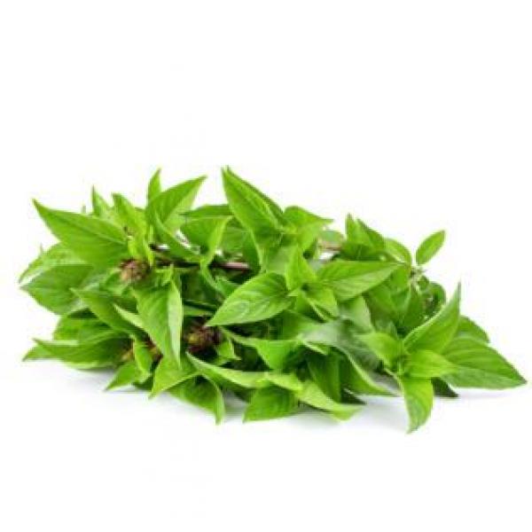 Sweet Basil 100g