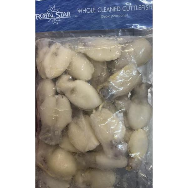Royal star whole cleaned cuttlefish 20/40