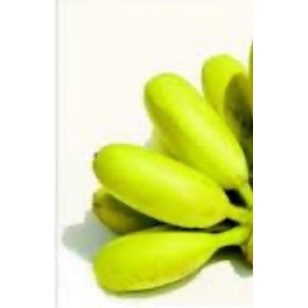 Lady finger banana 