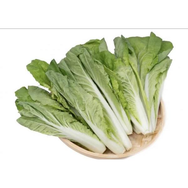 white pakchol 4.99/kg