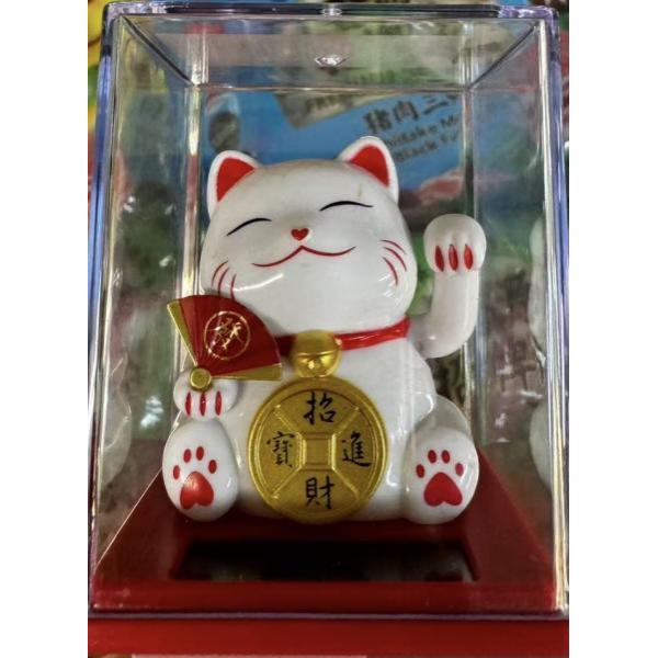 Lucky cat 