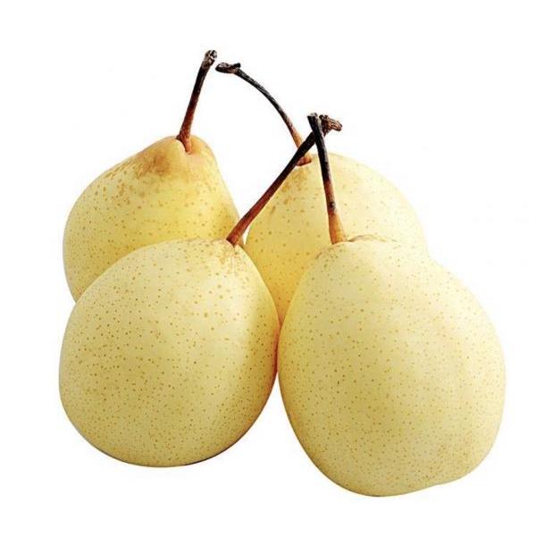 Asian Pears 4pack 