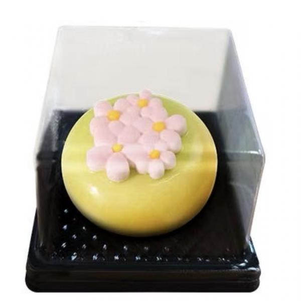 Vegan Dessert Spring