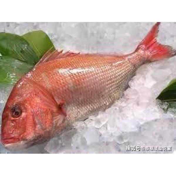 Headless red dried fish each