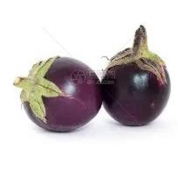 thai eggplant5pcs