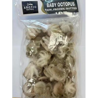 arctic Royal Whole Raw Baby Octopus 10/20