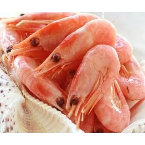 Arctic Sweet Shrimp